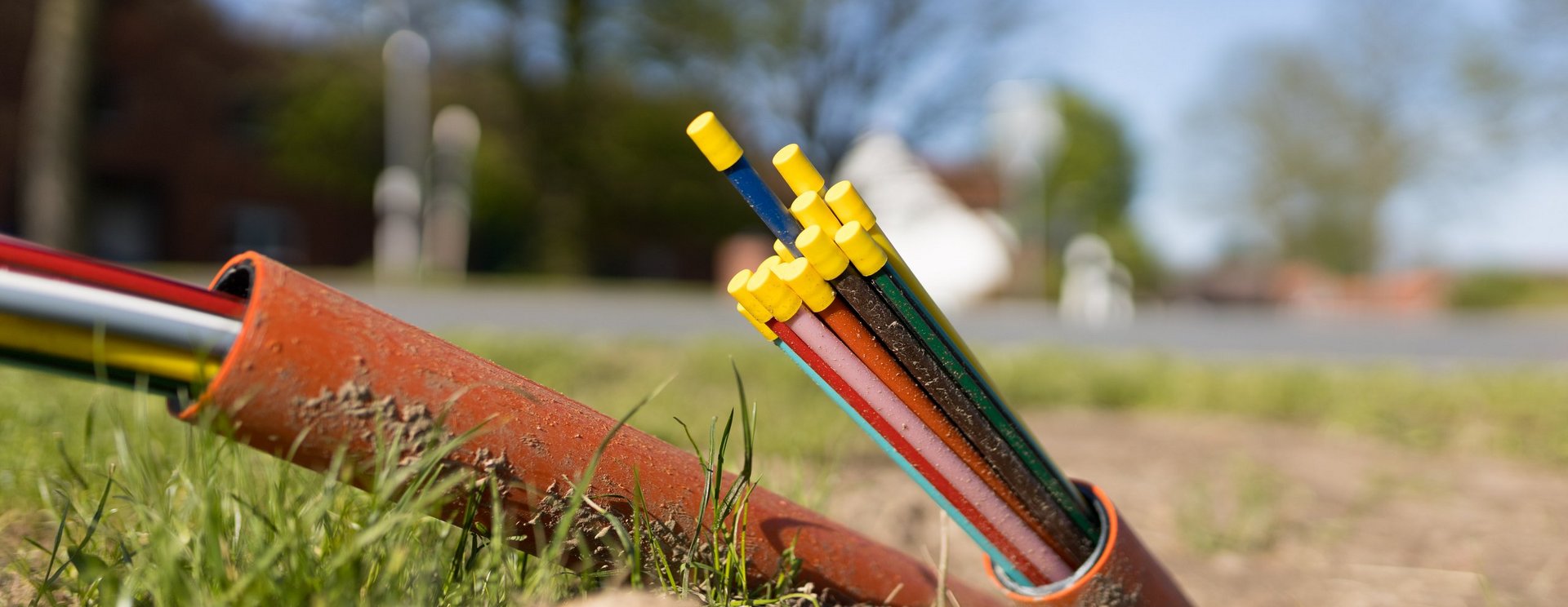 Bunte Glasfaserkabel schauen aus der Erde.